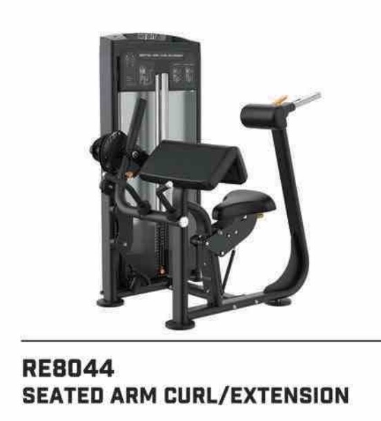SEATED ARM CURL/EXTENSION  INSIGHT RE8044