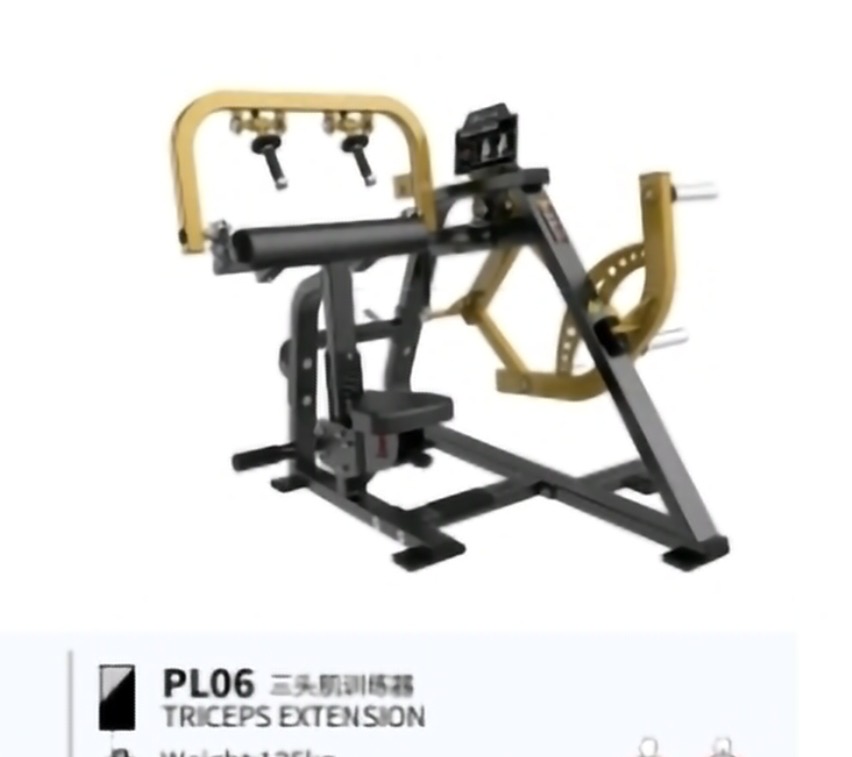 TRICEPS EXTENSION NEW BRTW PL06