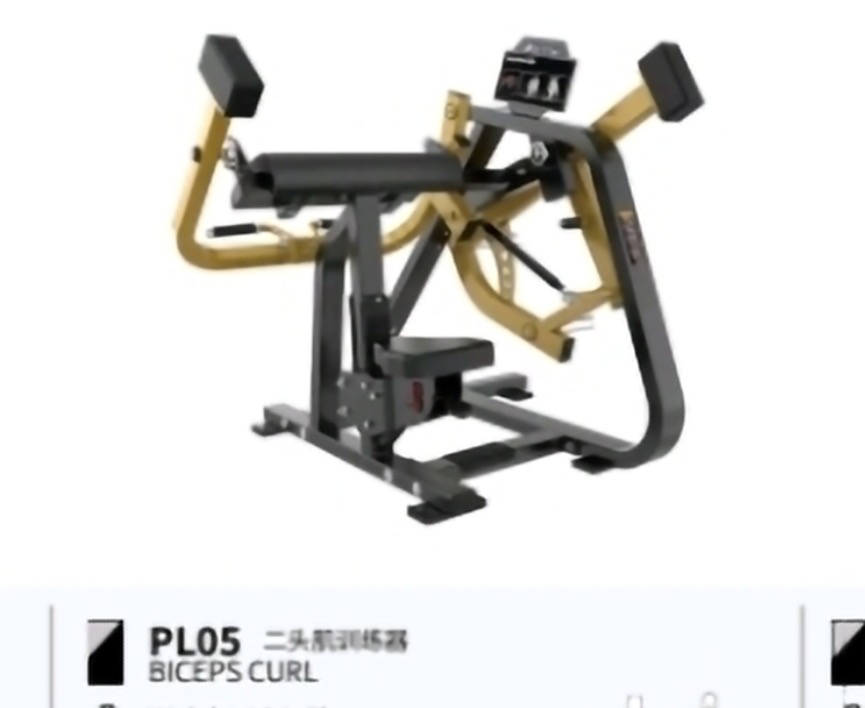 BICEPS CURL NEW BRTW PL05